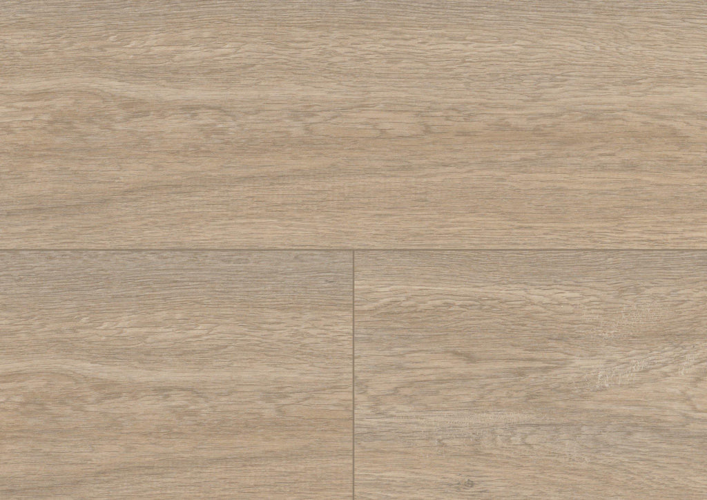 Wood XL - Queen's Oak Pearl - Project Floors - Resilient Plank - Purline - Project Floors New Zealand Flooring Design specialists